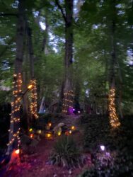 The Enchanted Forest NC